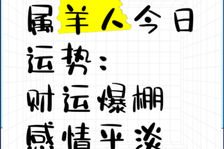 运势指南：属羊人的全年运程