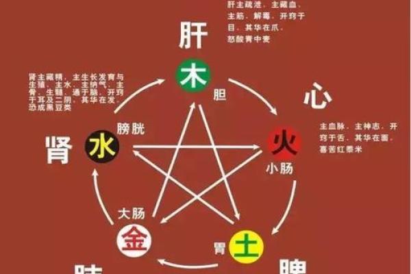仪字五行属性分析及其对命理的影响 仪字五行属性分析及其对命理的影响