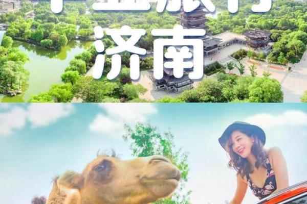 桥名字如何反映城市文化与历史底蕴 桥名字如何反映城市文化与历史底蕴