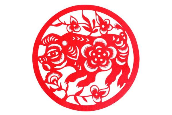 猪年生人运程:从事业到爱情的全方位运势指导 猪年生人运程:从事业到爱情的全方位运势指导
