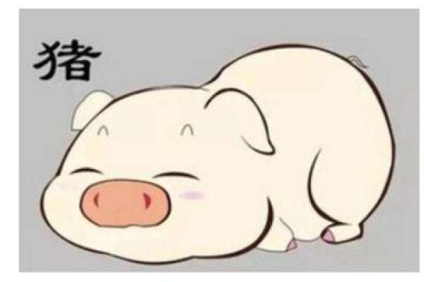 猪年生人运程:从事业到爱情的全方位运势指导 猪年生人运程:从事业到爱情的全方位运势指导