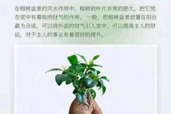 正确摆放空调,提升财位风水运势 正确摆放空调,提升财位风水运势