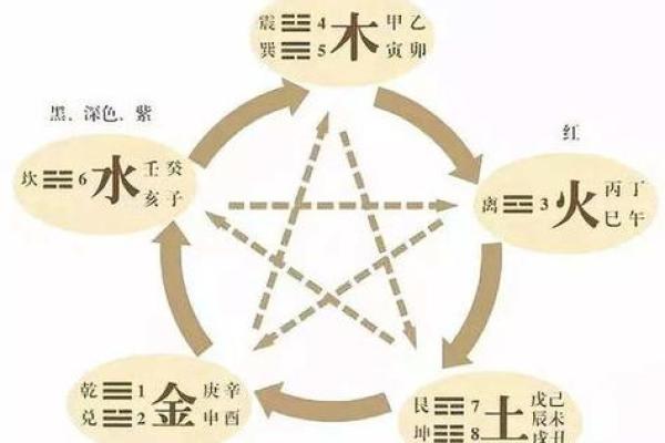 龙字的五行属性解析及其对命理的影响 龙字的五行属性解析及其对命理的影响