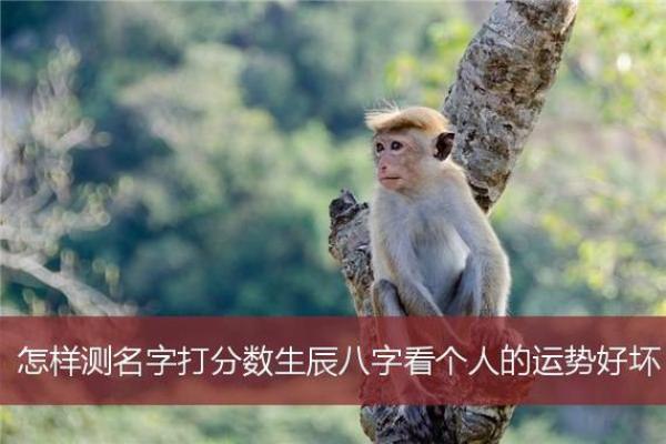 下载生辰八字算命APP,让你准确掌握未来运势 下载生辰八字算命APP,让你准确掌握未来运势