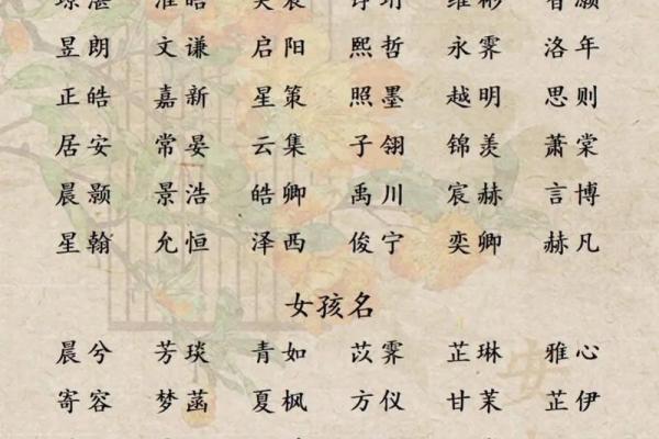 精选免费宝宝起名平台,快速为宝宝挑选好名字 精选免费宝宝起名平台,快速为宝宝挑选好名字