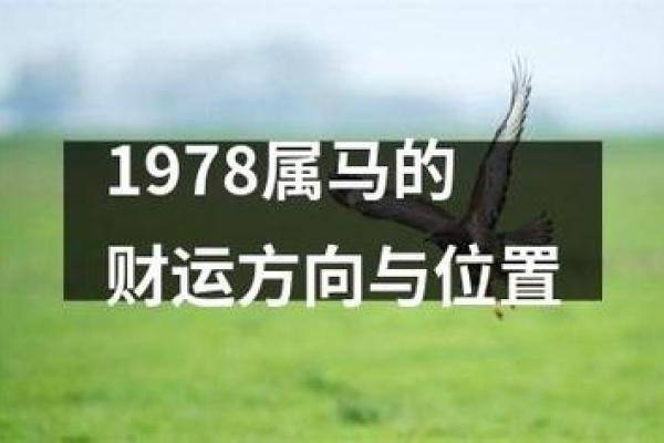 属马人事业财运全方位预测 属马人事业财运全方位预测