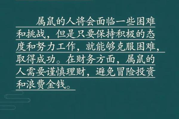 属鼠运势全解析 属鼠运势全解析
