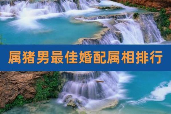 属猪与属鸡的配对吉凶:相爱还是冲突重重? 属猪与属鸡的配对吉凶:相爱还是冲突重重?
