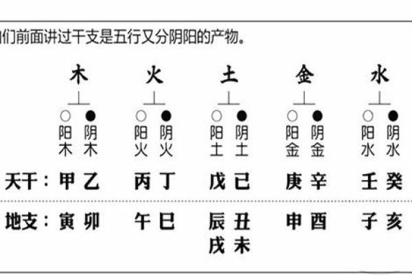 朵字的五行属性及其在命理中的含义分析 朵字的五行属性及其在命理中的含义分析
