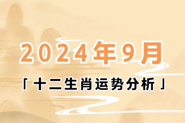 十二生肖运势分析与全年运程概览 十二生肖运势分析与全年运程概览