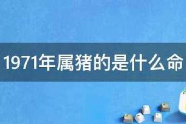 钗钏金命的特点与运势分析 钗钏金命的特点与运势分析