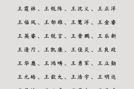单字名字大全：精选百款简洁大气的单字名字推荐