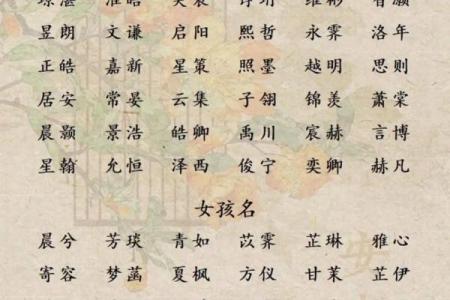 精选免费宝宝起名平台，快速为宝宝挑选好名字