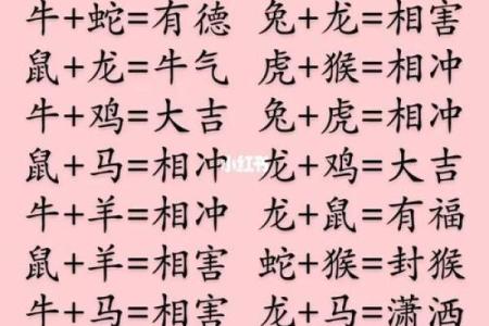 如何通过生辰八字了解你的生肖特征