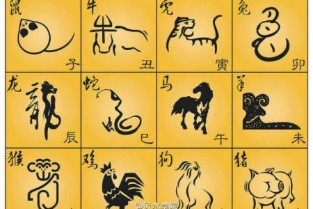 羊年整体运势预测