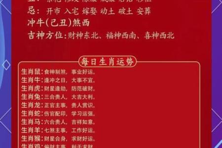属牛人每月运势解析与注意事项