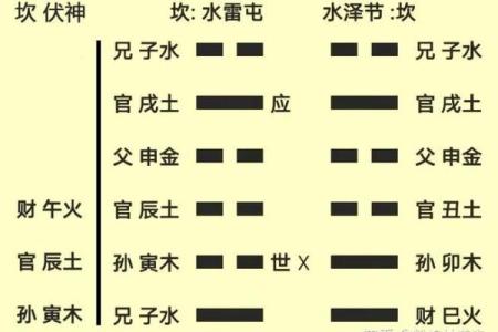 马字的五行属性分析与解读