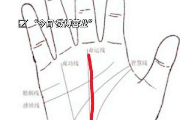 手相分析:哪些手掌特征预示富贵 手相分析:哪些手掌特征预示富贵