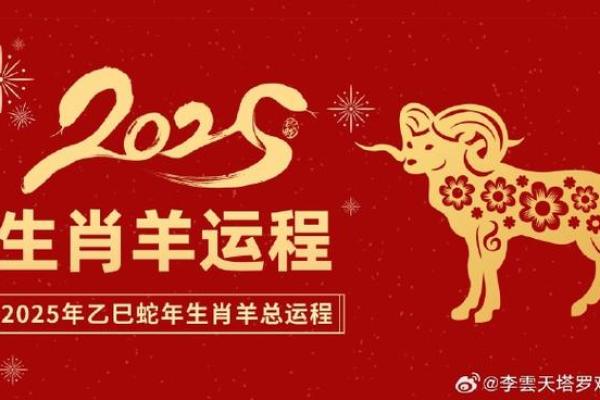 属羊每月运势全解析,助你把握全年运程 属羊每月运势全解析,助你把握全年运程