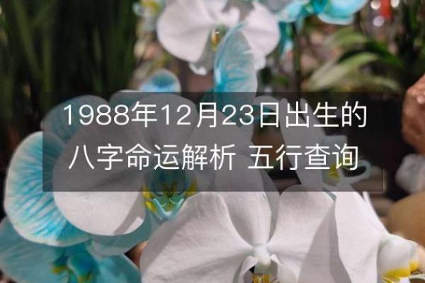 美国八字解读与命运走向分析 美国八字解读与命运走向分析
