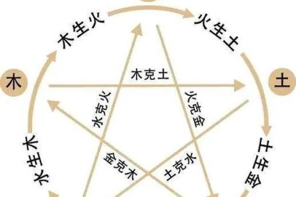 什么虎是水命?解读五行中虎与水的关系 什么虎是水命?解读五行中虎与水的关系