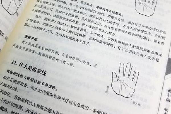 家居风水取名技巧与注意事项大全 家居风水取名技巧与注意事项大全