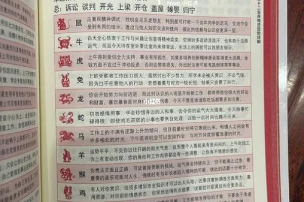 肖龙人每月运程解析 全年运势逐月揭秘 肖龙人每月运程解析 全年运势逐月揭秘