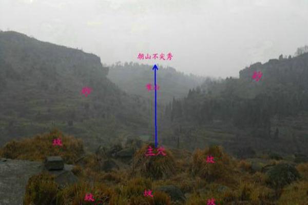 坟地风水对后代运势的影响探析 坟地风水对后代运势的影响探析