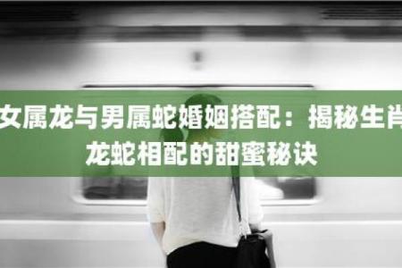 属龙女与属羊男的爱情能否长久？揭秘生肖相合与相克