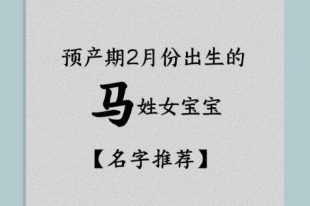 最受欢迎的马男孩名字精选