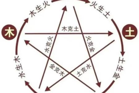 城字的五行属性分析及其在命理中的应用