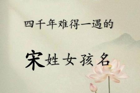 宋氏男孩名字大全：为宝宝起个富有内涵的名字