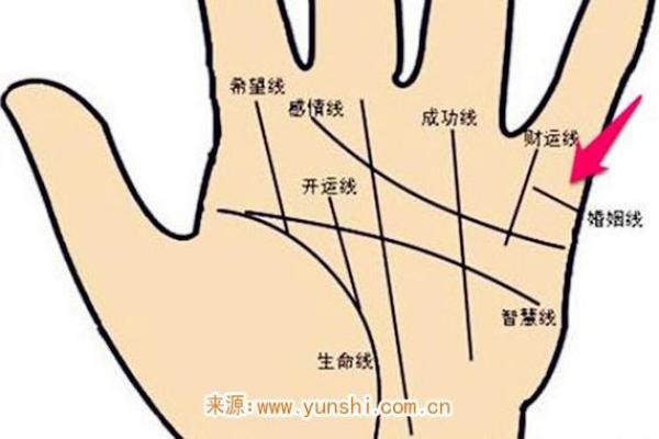 龙年运程解析:事业、财运与感情全方位解读 龙年运程解析:事业、财运与感情全方位解读