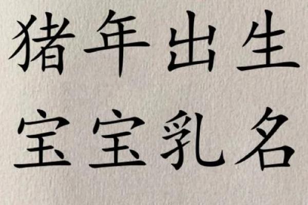 猪年宝宝如何起名:从性格与命运角度出发 猪年宝宝如何起名:从性格与命运角度出发