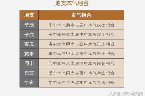 八字入库的意义与实践:如何正确解析命理数据 八字入库的意义与实践:如何正确解析命理数据