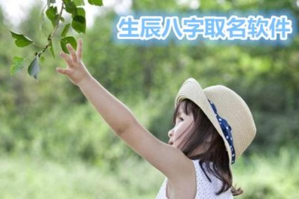 生辰八字打分的深度解析与应用方法 生辰八字打分的深度解析与应用方法