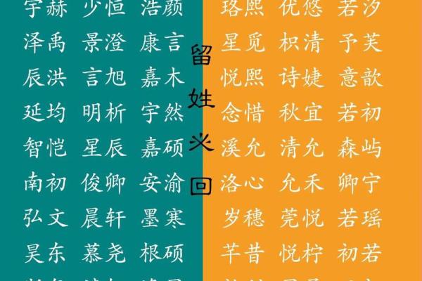 给宝宝取个最有创意的名字 给宝宝取个最有创意的名字