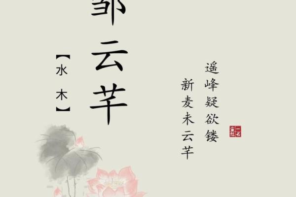 邹宝宝起名大全:创意与寓意兼具的名字推荐 邹宝宝起名大全:创意与寓意兼具的名字推荐
