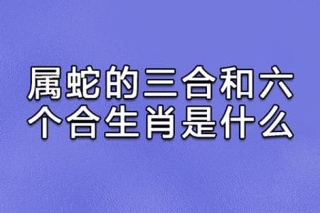 属兔与属蛇的爱情关系：优势与挑战