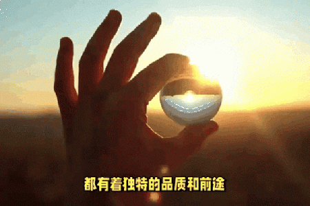 生肖星座运程大揭秘：掌握幸运与挑战的关键时刻