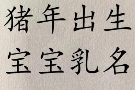 猪年宝宝如何起名：从性格与命运角度出发