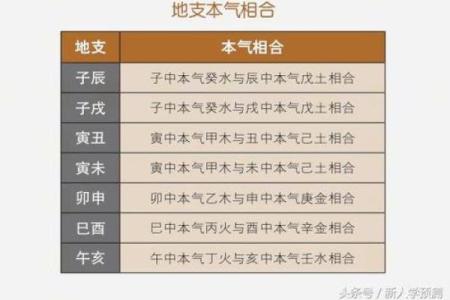 八字入库的意义与实践：如何正确解析命理数据