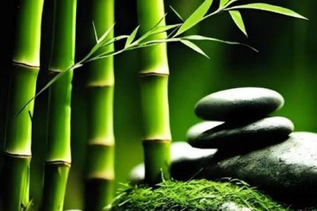 人每月运势起伏与运道解析