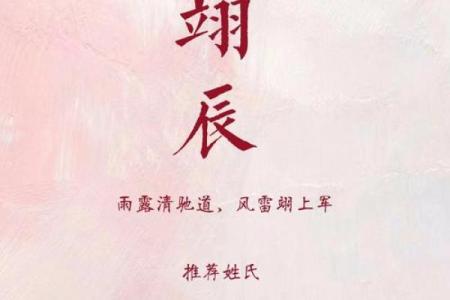 如何为孩子起名时选用“宸”字的文化背景