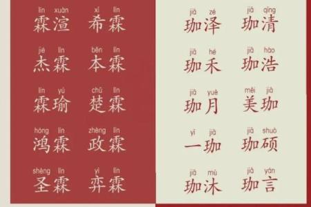 邹宝宝起名大全：创意与寓意兼具的名字推荐