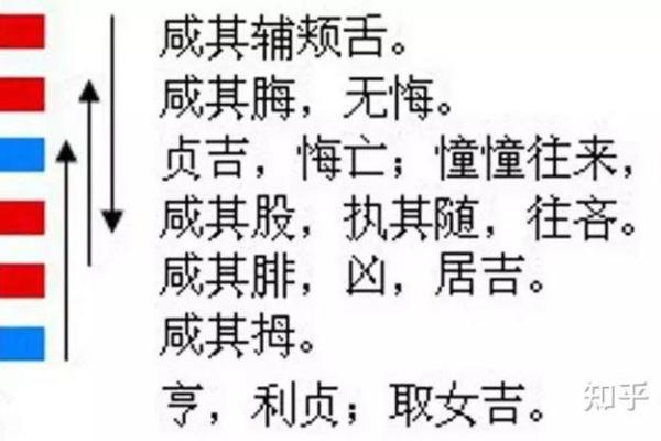 属马人的五行命理解析及其运势影响 属马人的五行命理解析及其运势影响