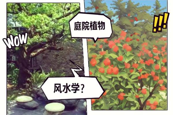 探索中国风水学的奥秘与现代生活的结合 探索中国风水学的奥秘与现代生活的结合