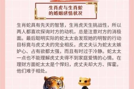 虎与哪些属相最配？揭秘最佳配对组合