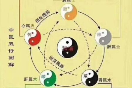 兔年运势全解析：各方面运程详解与应对策略