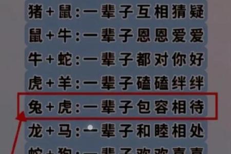 女兔男狗婚姻配对分析：性格与命理的契合度探讨